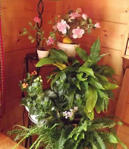 Le Paradou Bed & Breakfast La Côte-dʼAime
